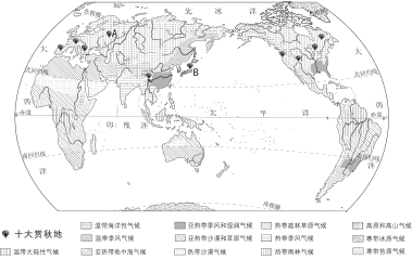 西城试卷矢量配图-世界气候类型分布