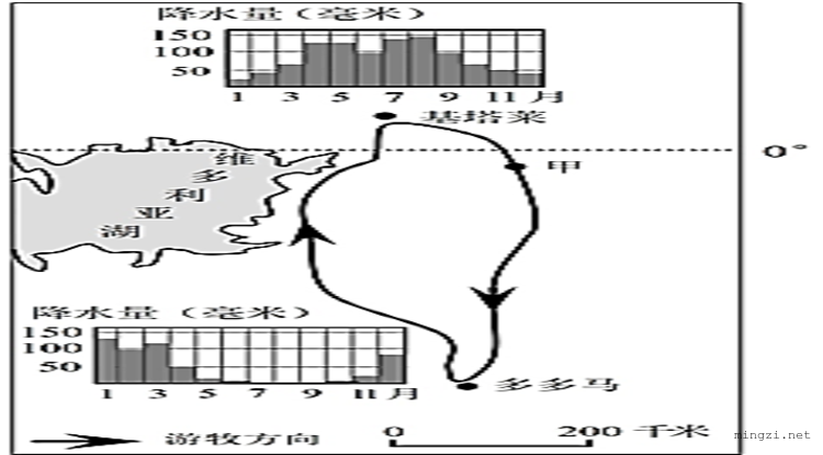 非洲和西亚气候类型基塔莱和多多马动物迁徙（矢量）