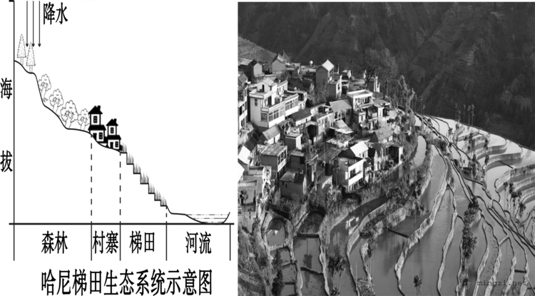 哈尼梯田生态示意图