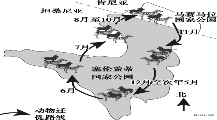 非洲气候及动物迁徙路线