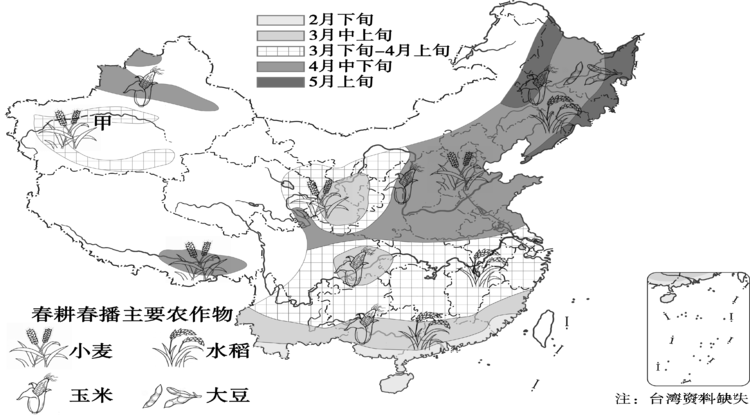 中国春根春播时间和作物分布（矢量）
