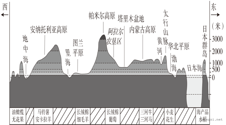 亚洲北纬40°地形剖面（矢量）