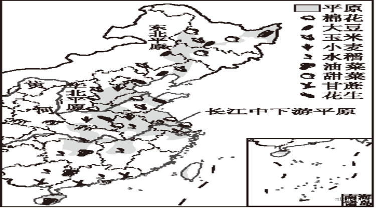 中国东部地区农作物类型分布