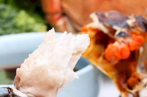 大闸蟹挑、洗、煮、吃全攻略，教你怎么做一个合格的吃货？