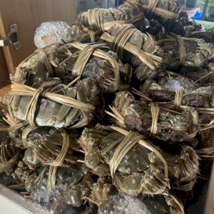 阳澄湖大闸蟹