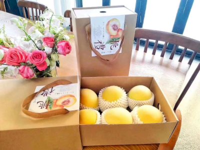 村上湖舍黄桃礼盒6只