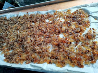 天然有机桃胶 80一斤包邮